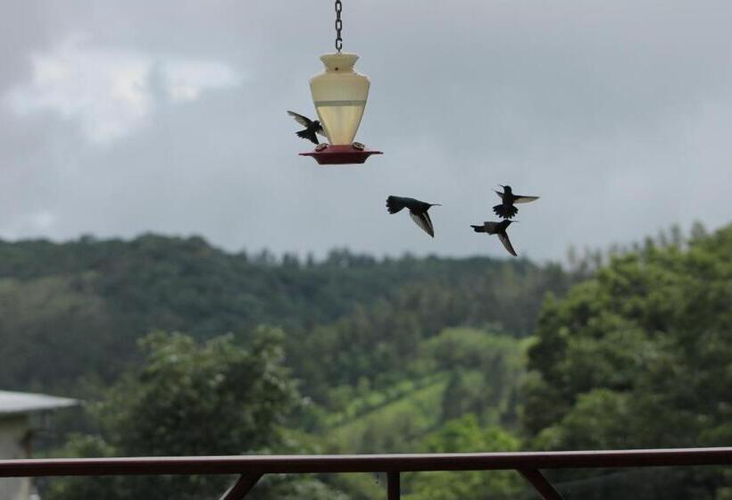 اتاق استاندارد با چشم‌انداز باغ, Bosque Verde Lodge