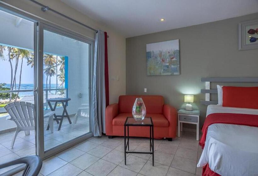 غرفة قياسية سرير كينج, Costarena Beach