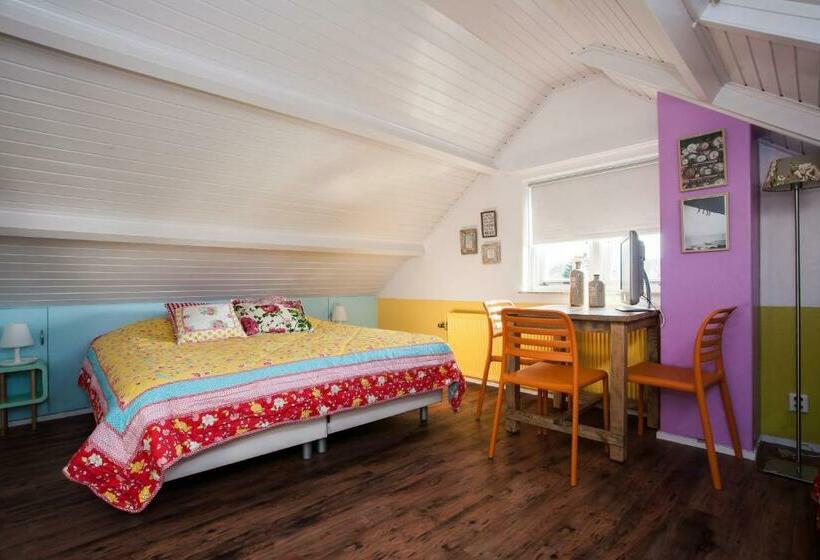 Номер Стандарт, Domburg4you