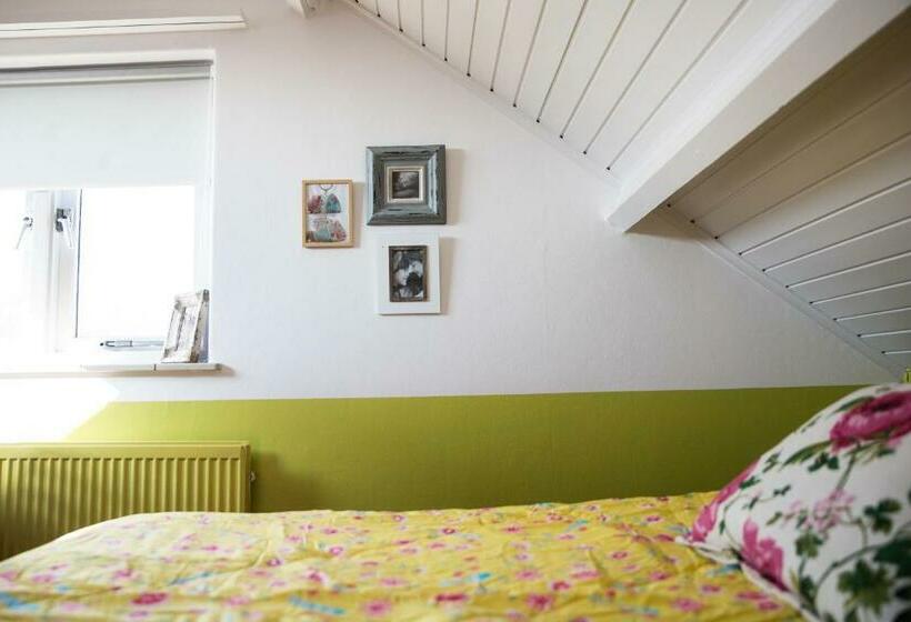 Номер Стандарт, Domburg4you