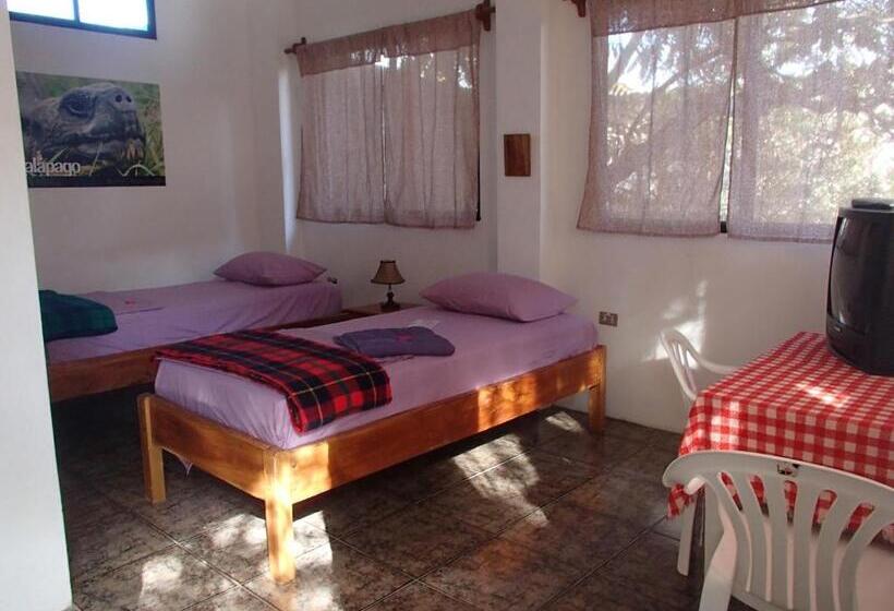 Номер Стандарт, Hostal Suiza
