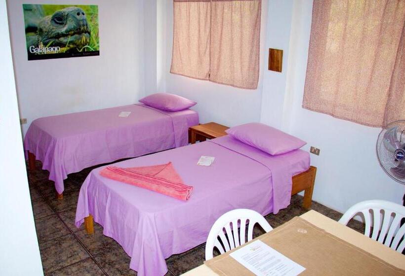 Quarto standard, Hostal Suiza