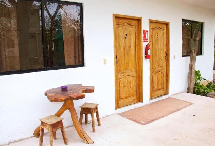 Номер Стандарт, Hostal Suiza