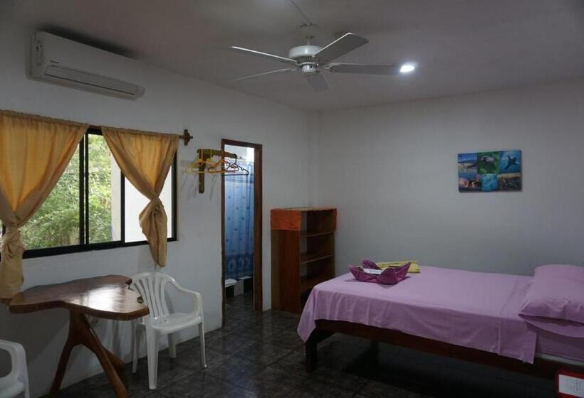 Quarto standard, Hostal Suiza