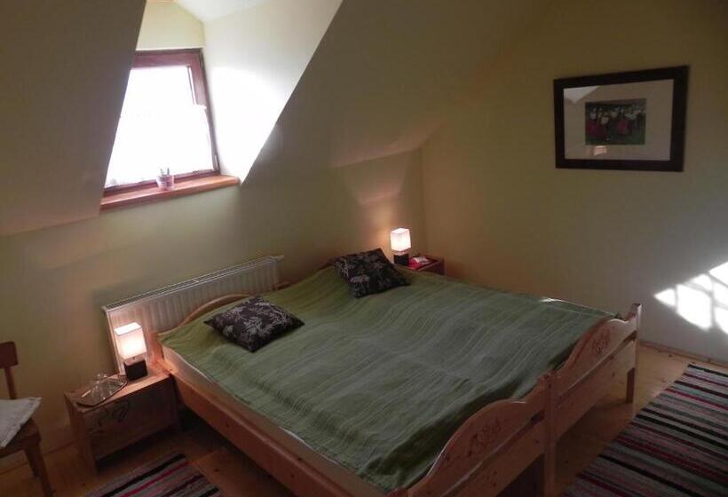 Номер Стандарт, Csipkeszeg Bed & Breakfast Sic / Szék Romania