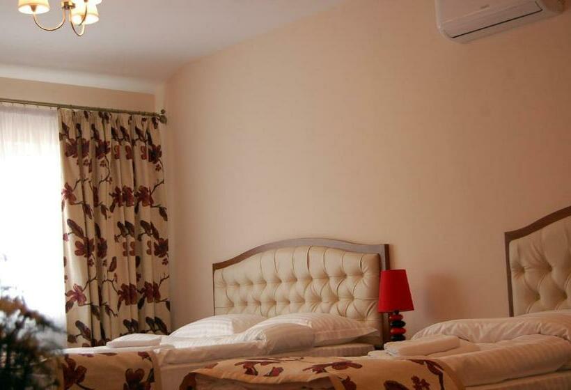 سوییت جونیور, Hostel Paltinis