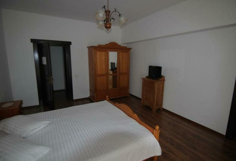 标准间, Vila Carpathia