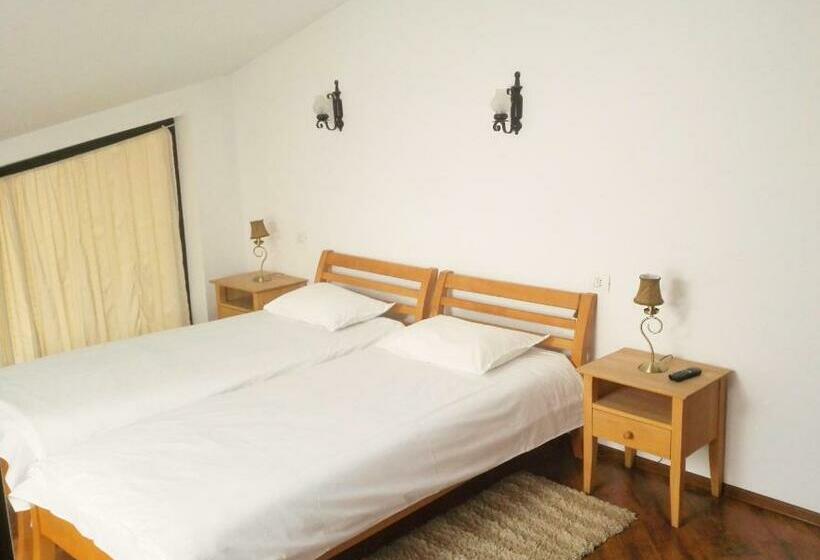 اتاق استاندارد, Vila Carpathia
