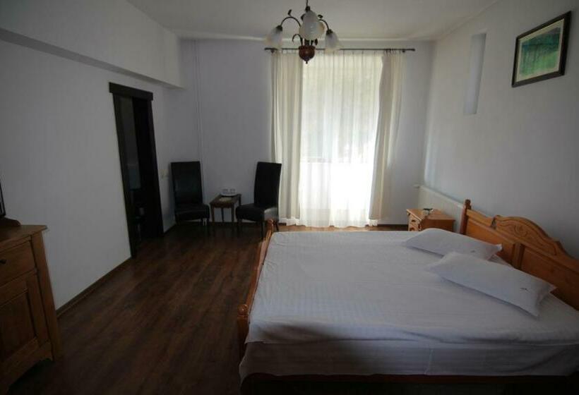 اتاق استاندارد, Vila Carpathia