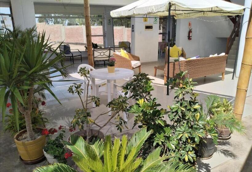تختخواب در اتاق مشترک, Icthus Paracas