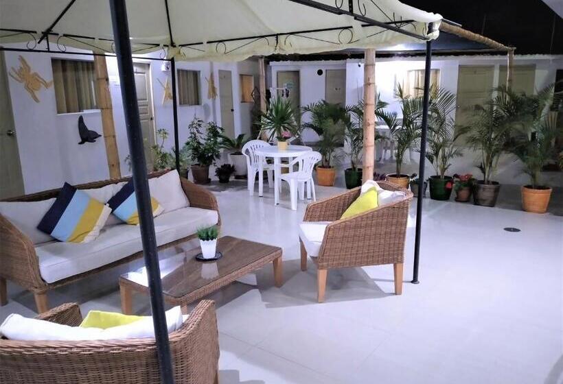 تختخواب در اتاق مشترک, Icthus Paracas