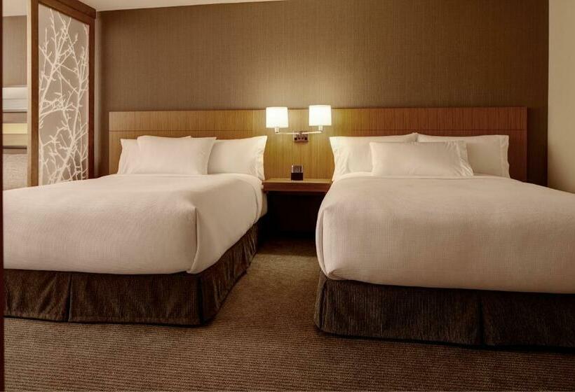 带2个双人床的标准工作室, Hyatt Place Madison/verona