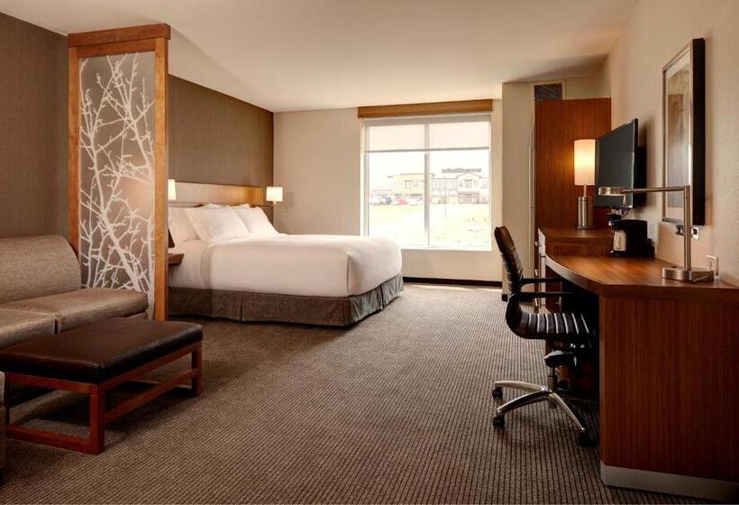 适合残疾人使用的标准间, Hyatt Place Madison/verona