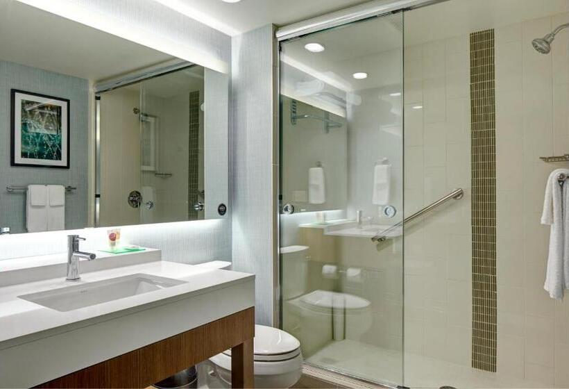 高级寓所标准房间, Hyatt Place Madison/verona