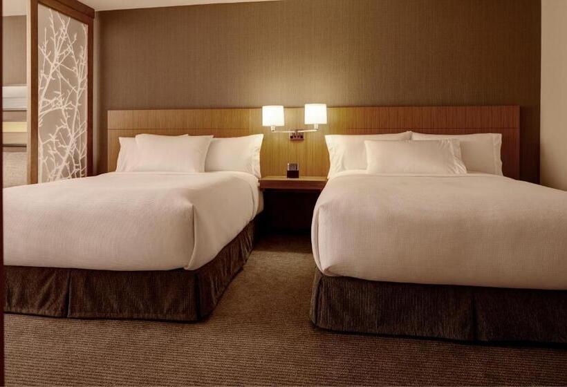 高级寓所标准房间, Hyatt Place Madison/verona