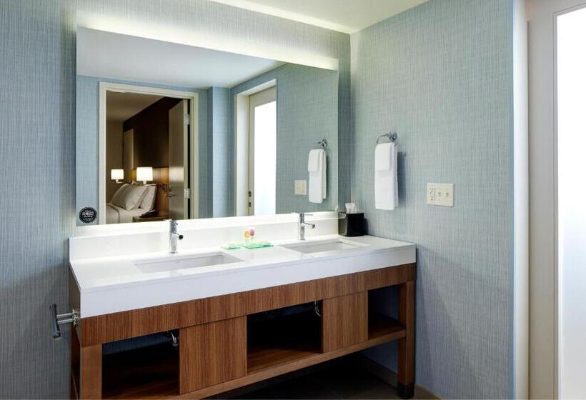带大床的套房, Hyatt Place Madison/verona