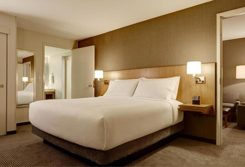 带大床的套房, Hyatt Place Madison/verona