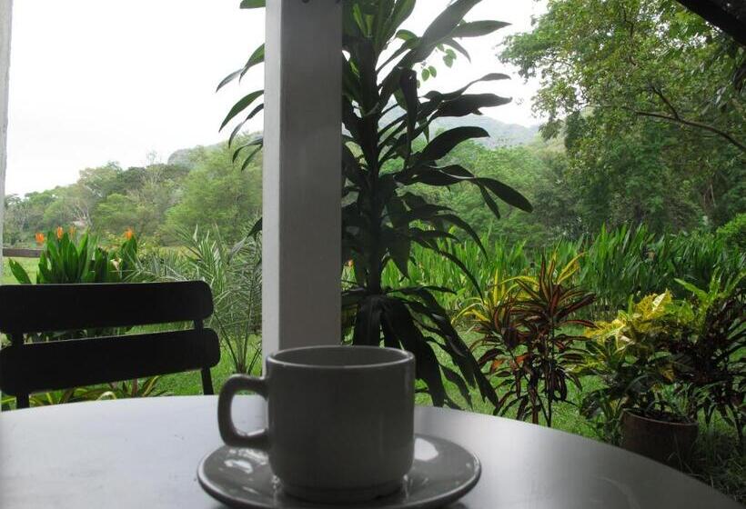 스위트, Waka Hotel Rural