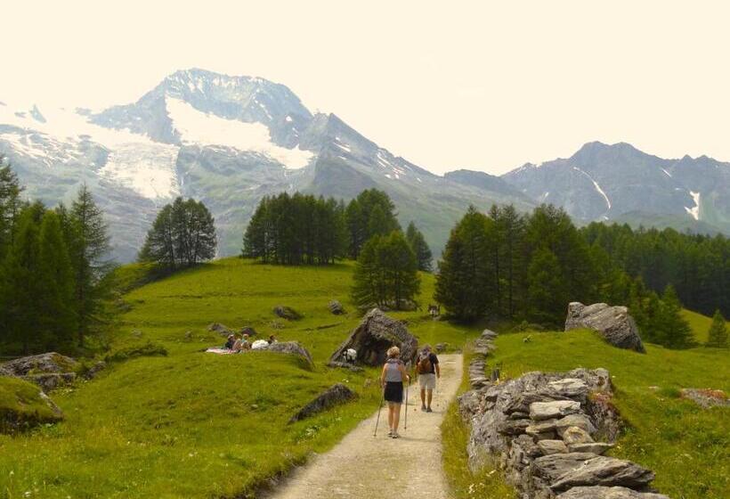 غرفة قياسية, Black Diamond Lodge