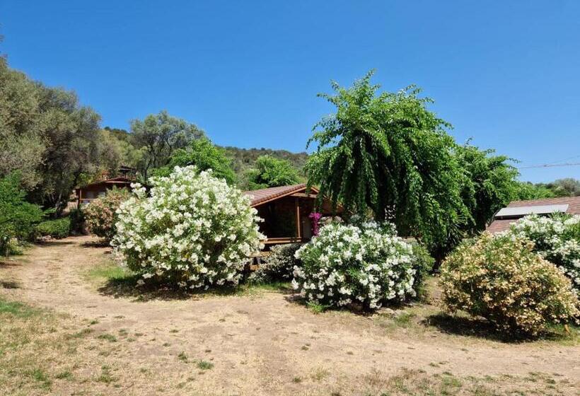 غرفة كلاسيكية مع بلكونة, Mare E Monti