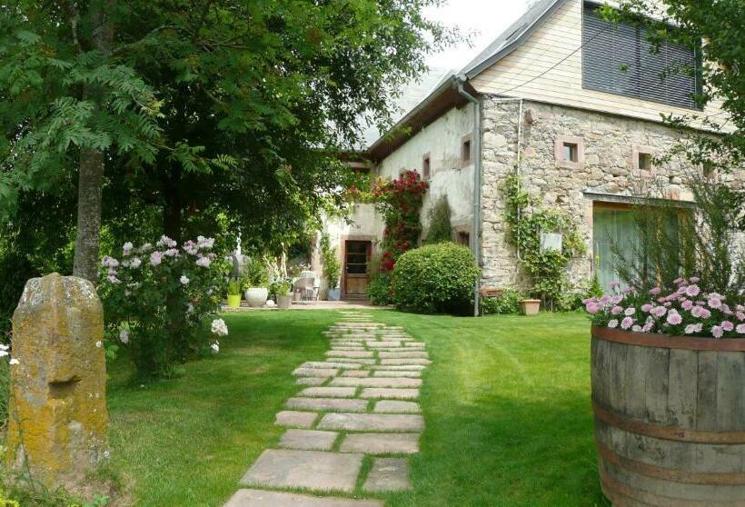 جناح جونيور, Le Chat Rouge Chambres D'hôtes De Charme En Alsace
