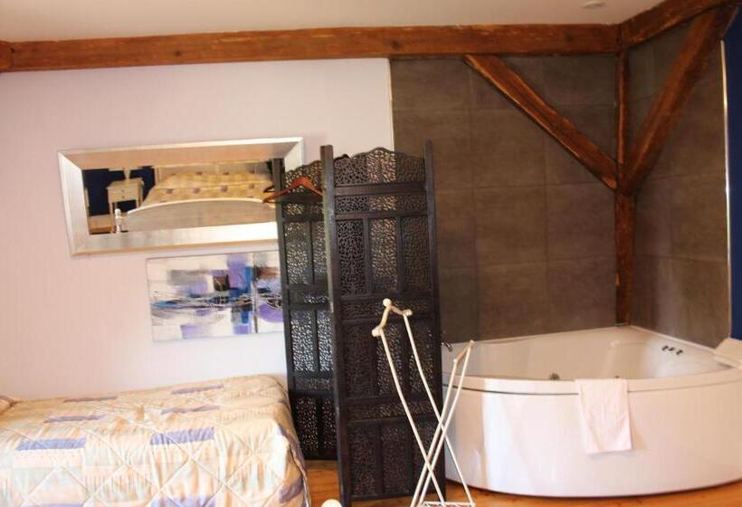 Номер Deluxe с Гидромассажем, Manoir François 1er
