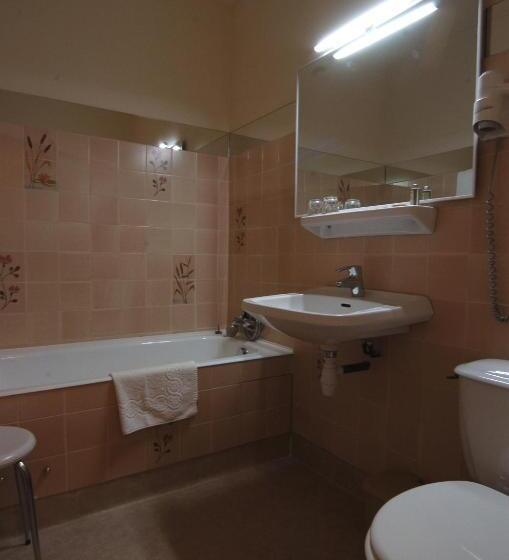 スタンダードシティビュールーム, Hôtel Du Lion D'or