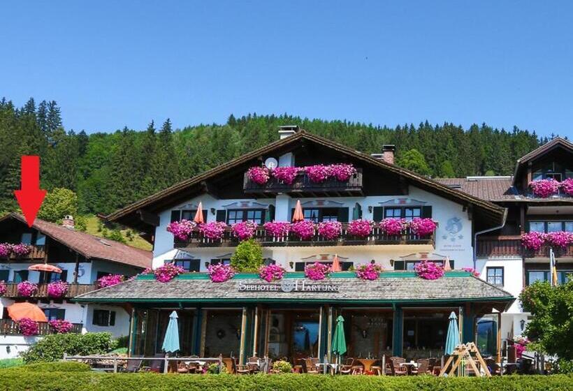 Апартаменты Дюплекс 1 Спальня, Seehotel Hartung & Ferienappartements