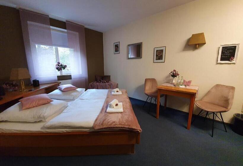 Номер Стандарт, Waldhotel Surwold