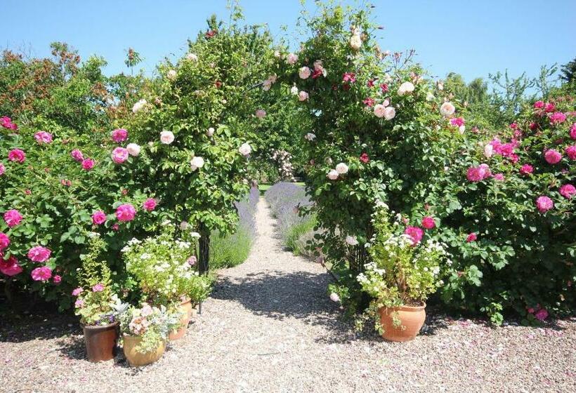 高级大房间, The Old House