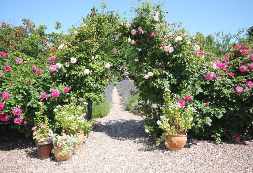 标准间, The Old House