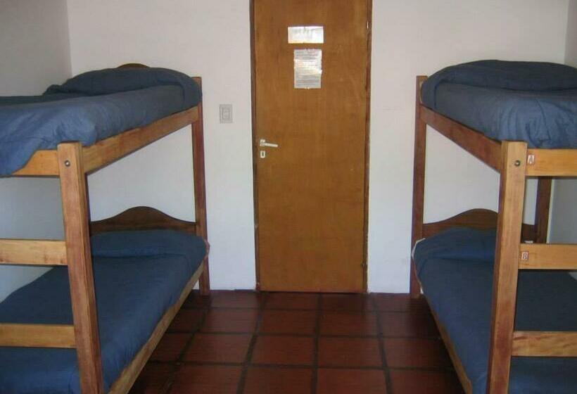 تختخواب در اتاق مشترک, Calafate Hostel