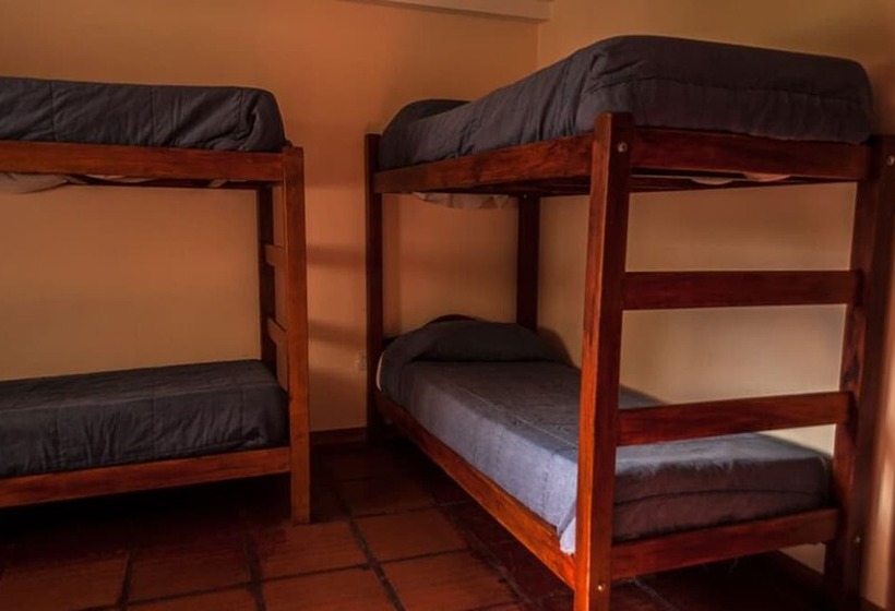 Bed in Shared Room with Shared Bathroom, Calafate Hostel