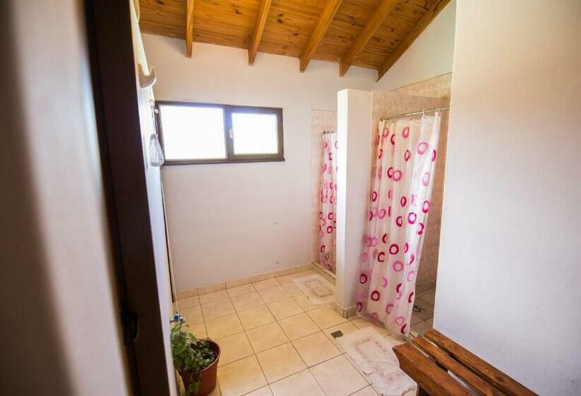 تختخواب در اتاق مشترک, Hostel Nakel Yenu