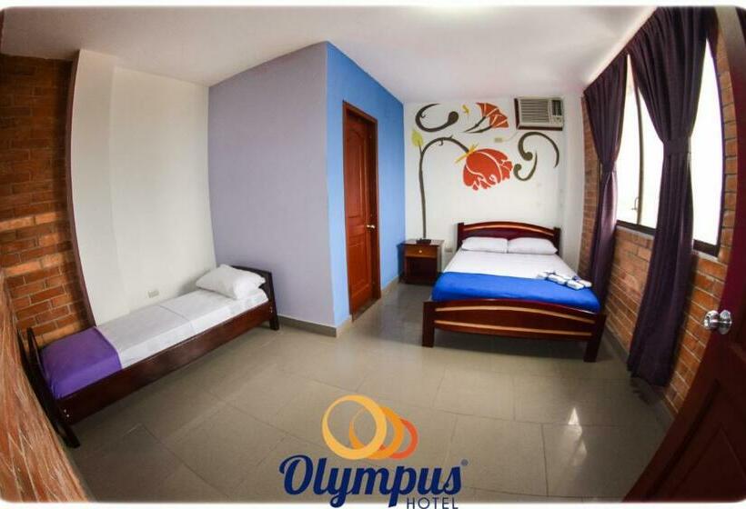 غرفة قياسية, Olympus