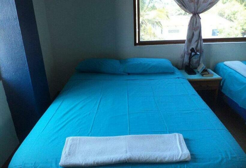 تختخواب در اتاق مشترک, Posada Del Caminante