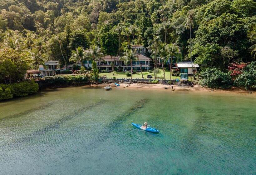 Номер Стандарт, Resolution Resort