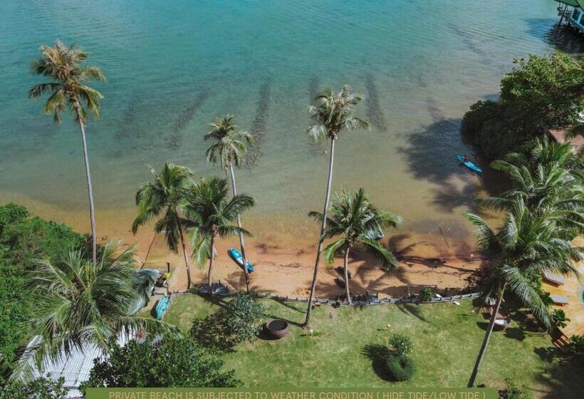 اتاق لوکس, Resolution Resort