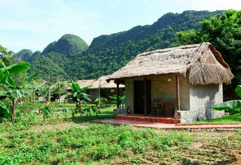 اتاق استاندارد, Whisper Nature Bungalow & Resort
