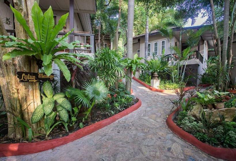 Номер Superior Вид на Сад, Samed Villa Resort