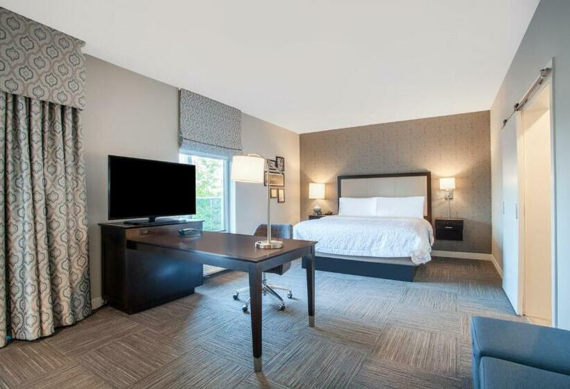 Студио Стандарт Кровать Кинг, Hampton Inn Rochester Penfield
