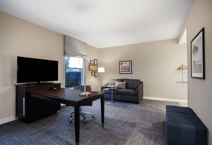 Студия Стандарт Двуспальная Кровать, Hampton Inn Rochester Penfield
