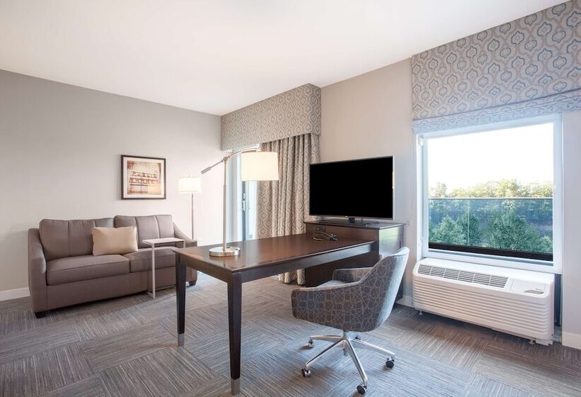 Студия Стандарт Двуспальная Кровать, Hampton Inn Rochester Penfield