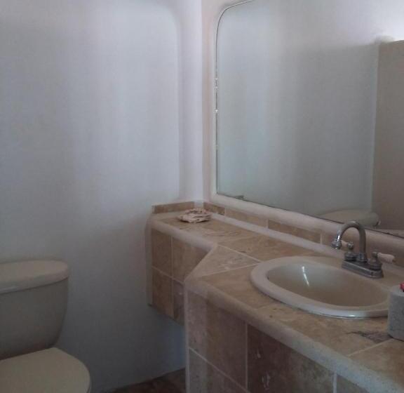 Люкс, Delphinus Inn