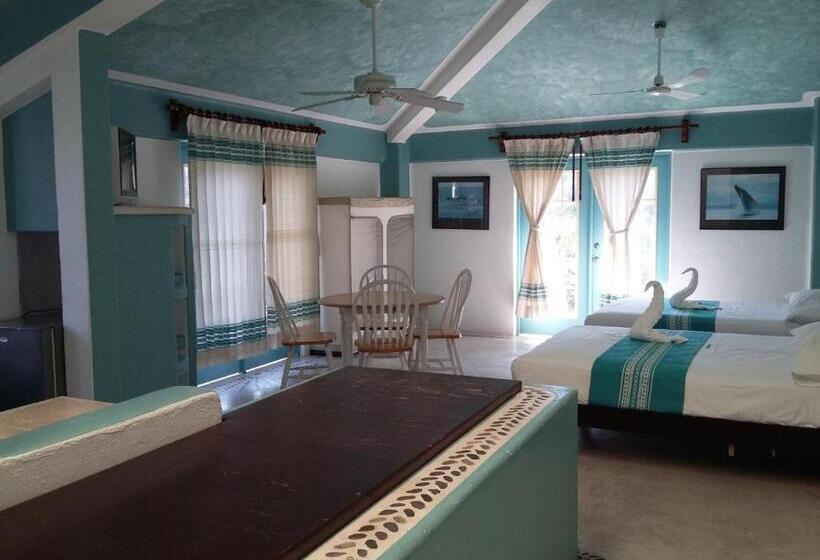 Люкс, Delphinus Inn