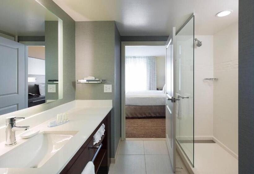 带大床的套房, Residence Inn By Marriott Denver Central Park