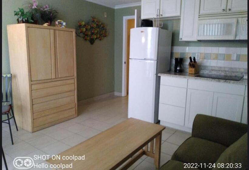 آپارتمان 1 خوابه با چشم‌انداز دریا, Daytona Beach   Condo Ocean Front View