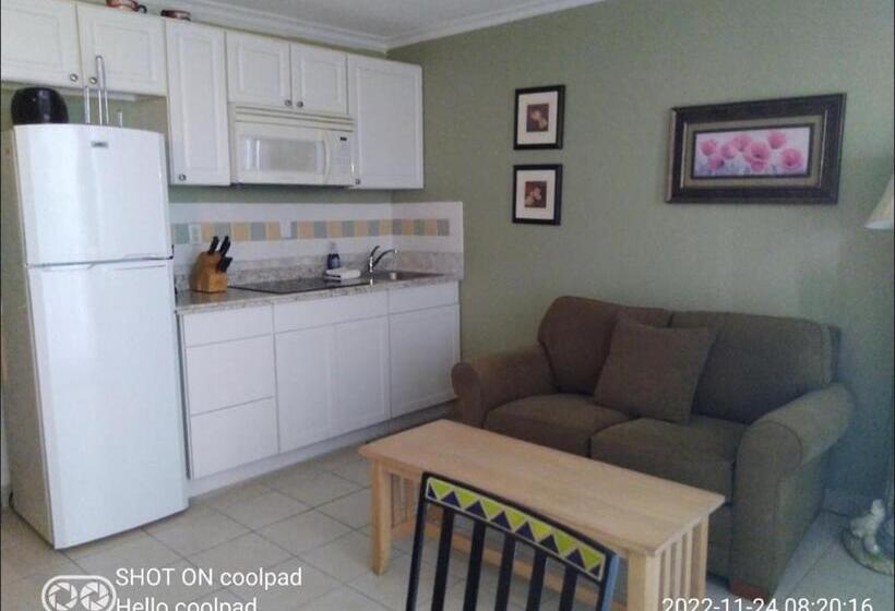 آپارتمان 1 خوابه با چشم‌انداز دریا, Daytona Beach   Condo Ocean Front View