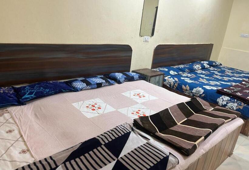 Семейный Номер Deluxe, Shivganga Guest House