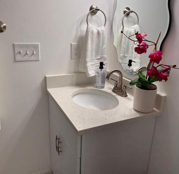 디럭스 룸, Luxurious Basement Guest Suite In Elkridge